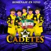 Download track Despedida Con Mariachi (En Vivo)