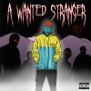 Download track A Wanted Stranger