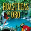 Download track Las Mañanitas Huastecas