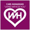 Download track Living Without You (Mix)