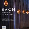 Download track Toccata & Fugue In F Major, BWV 540 II. Fugue