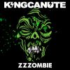 Download track Zzzombie (Acoustic Version)