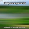 Download track Entspannungsmusik Teil 30