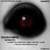 Download track Darknes (Zioo Remix)