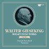 Download track Variations On A Minuet By Fischer In C Major, K. 179- Variation VIIi'