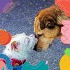 Download track Groovy Moods For Doggy Rest