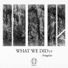 Download track What We Did (Original Mix)