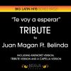 Download track Te Voy A Esperar (Tribute Version) [Originally Performed By Juan Magan And Belinda]