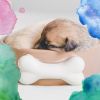 Download track Glorious Ambience For Doggy Rest