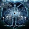 Download track Embodied In Human Being