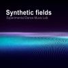 Download track Synthetic Fields