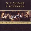 Download track Franz Schubert – String Quartet No. 13 In A Minor, Rosamunde D. 804, Op. 29 I Allegro Ma Non Troppo