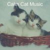 Download track Glorious Solo Piano Jazz - Vibe For Cats