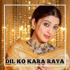 Download track DILKO KARA RAYA