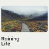 Download track Noisy Rain