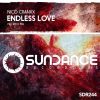 Download track Endless Love (Original Mix)