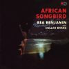 Download track African Songbird