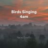 Download track 4am Birds Singing Pt. 115