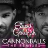 Download track Cannonballs (MD Electro Remix)