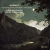 Download track Violin Sonata In D Major, D 384 (Sonatina) - 3. Allegro Vivace