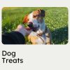 Download track Calming Music For Stressed Dogs, Pt. 2