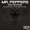 Download track Fuck The System (Dennis Slim Remix)