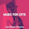 Download track Sprightly Resting Kittens