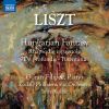 Download track De Profundis, S. 121a (Excerpts Completed By J. Rosenblatt): Andante