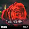 Download track The Dreamers (GDJB In Bloom 2019) (Markus Schulz In Bloom Mix)