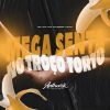 Download track Mega Senta No Troço Torto (Slowed + Reverb)