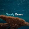 Download track Goody Ocean, Pt. 13