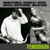 Download track Temudgin