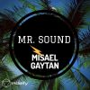 Download track Mr. Sound