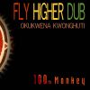 Download track Fly Higher Dub (Dubsalon Remix)