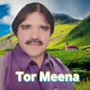 Download track Bega Me Dase Khob Ledale Wo Mast Attan