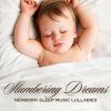 Download track Instrumental Lullabies