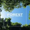 Download track Forest (Speed Up +)