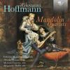 Download track Hoffmann: Quartet In G Major: III. Minuetto