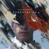 Download track Synesthesia (Outro)