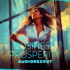 Download track Business Prosperity (Slowed Down)