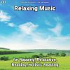 Download track Relaxing Music, Pt. 74