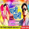 Download track Mori Chadhli Jawani Pani Pani