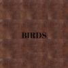 Download track Birds