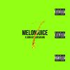 Download track Melon Juice (Instrumental)