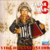 Download track Vida De Sanfoneiro