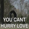 Download track You Can't Hurry Love - Tribute To Stray Cats