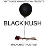 Download track Kush 1