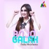 Download track Bojo Galak