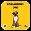 Download track Forjado En Oro