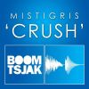 Download track Crush (Tsjak Vocal Edit)